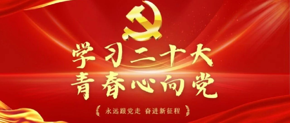 西安华清园实验小学党员教师学习党的二十大精神心得体会(四)