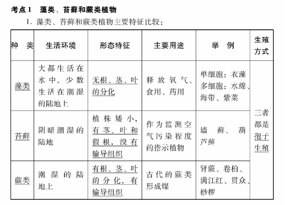 2024年中考基础知识梳理：生物圈中有哪些绿色植物