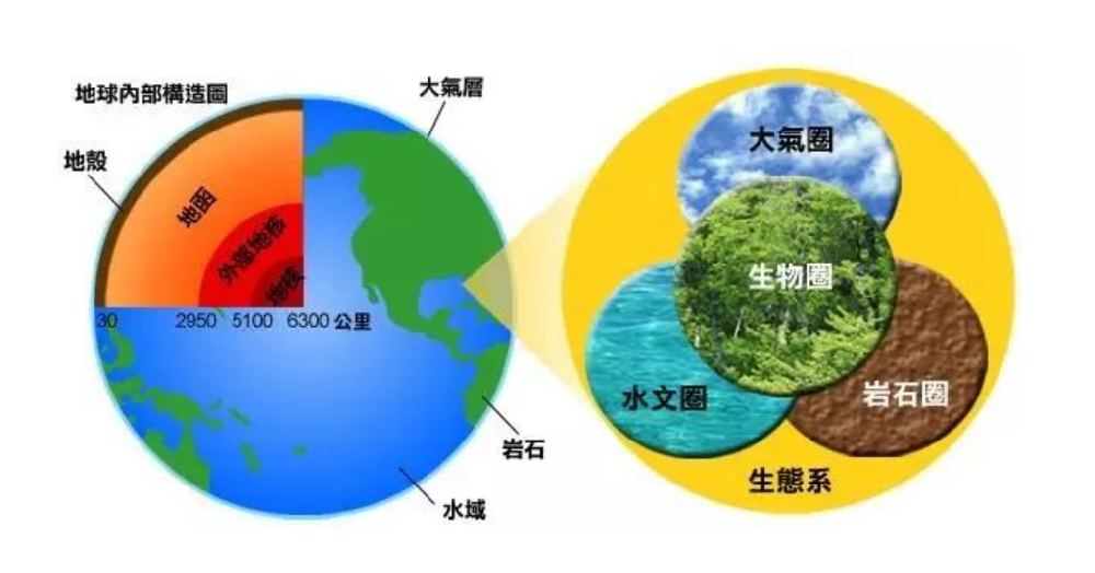 2024年七上第一单元：生物和生物圈知识点拔
