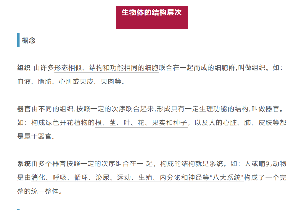 2024年初中生物会考专题：生物体的结构层次