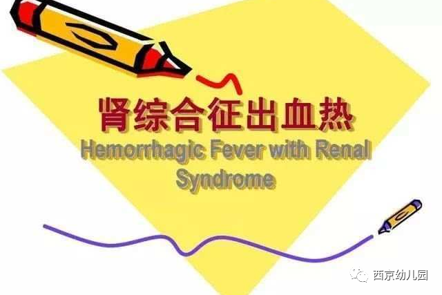 【呵护儿童健康 预防出血热】西京学院幼儿园流行性出血热疾病科普